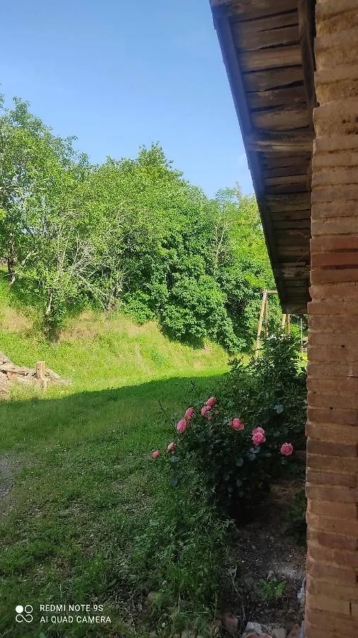 Villa Ferme Du Bois Du Pouget à La Salvetat-Belmontet France
