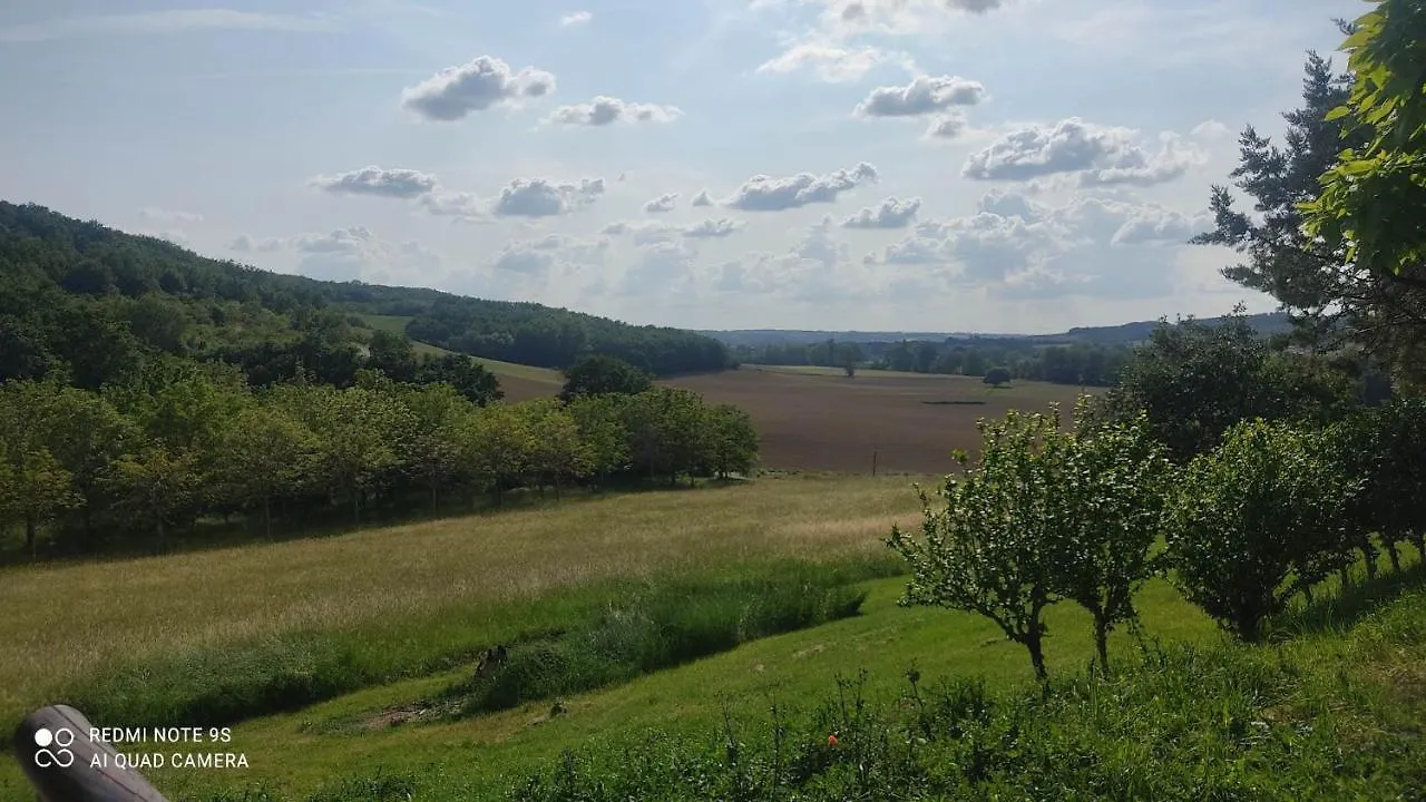 Villa Ferme Du Bois Du Pouget à La Salvetat-Belmontet Hébergement de vacances